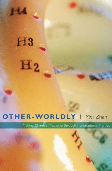 bokomslag Other-Worldly