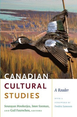 Sourayan Mookerjea, Imre Szeman, Gail Faurschou - Canadian Cultural Studies, Häftad
