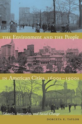 Dorceta E. Taylor, Dorceta E Taylor - Environment and the People in American Cities, 1600s-1900s, Häftad