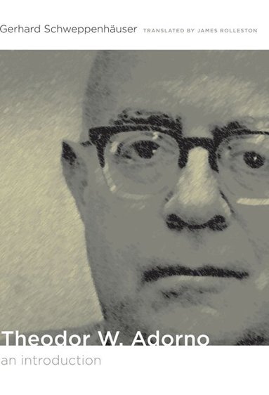 Gerhard Schweppenhäuser - Theodor W. Adorno, Häftad
