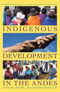 bokomslag Indigenous Development in the Andes