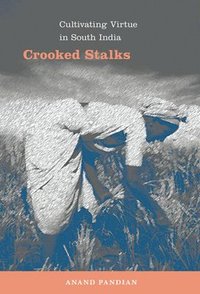 bokomslag Crooked Stalks