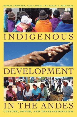 Robert Andolina, Nina Laurie, Sarah A. Radcliffe - Indigenous Development in the Andes, Häftad