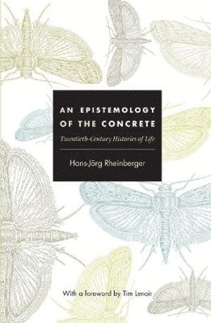 An Epistemology of the Concrete 1