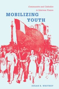 bokomslag Mobilizing Youth