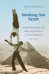 bokomslag Working Out Egypt