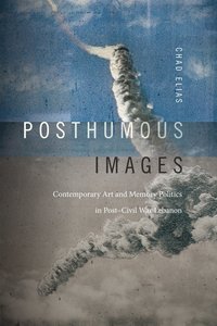 bokomslag Posthumous Images