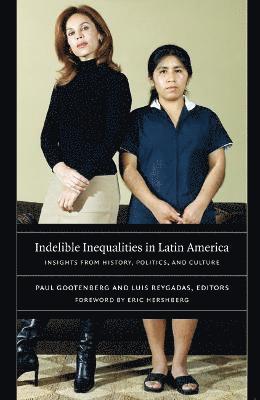 Indelible Inequalities in Latin America 1