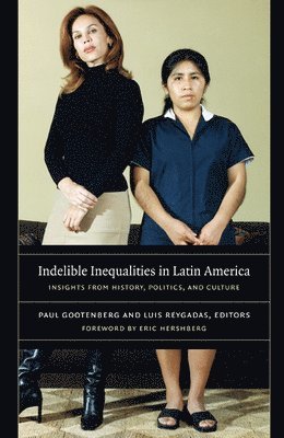 bokomslag Indelible Inequalities in Latin America