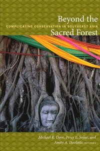 bokomslag Beyond the Sacred Forest