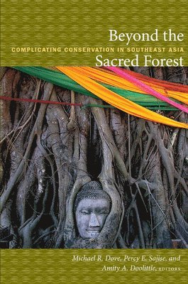 Beyond the Sacred Forest 1