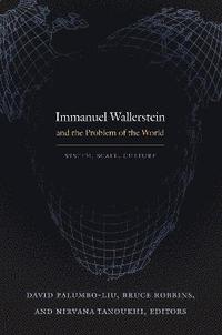 bokomslag Immanuel Wallerstein and the Problem of the World
