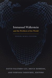 bokomslag Immanuel Wallerstein and the Problem of the World