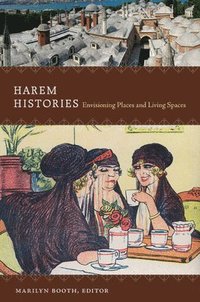 bokomslag Harem Histories
