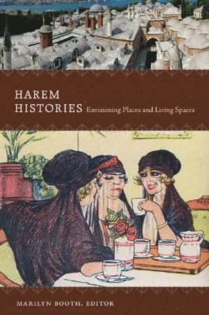 bokomslag Harem Histories