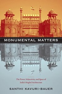 bokomslag Monumental Matters