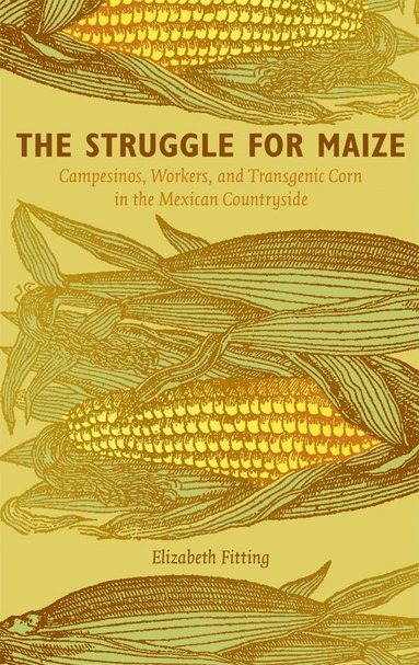 bokomslag Struggle for Maize
