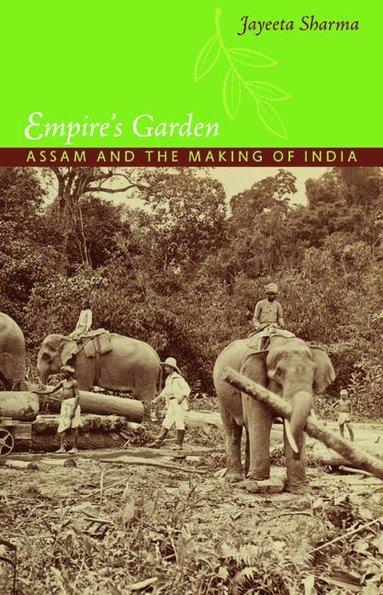 bokomslag Empire's Garden