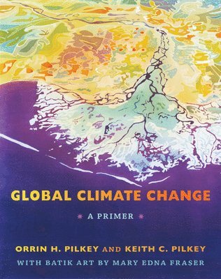 bokomslag Global Climate Change