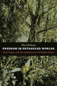 bokomslag Freedom in Entangled Worlds