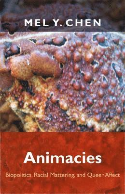 Animacies 1