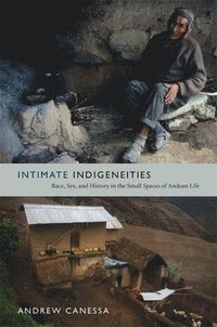 bokomslag Intimate Indigeneities