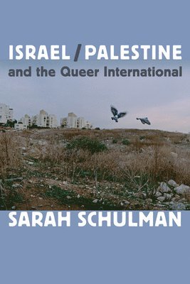 bokomslag Israel/Palestine and the Queer International