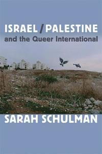 bokomslag Israel/Palestine and the Queer International