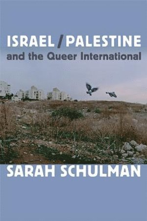 bokomslag Israel/Palestine and the Queer International