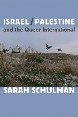 Israel/Palestine and the Queer International 1