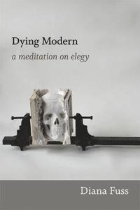 bokomslag Dying Modern