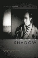 bokomslag The Aesthetics of Shadow