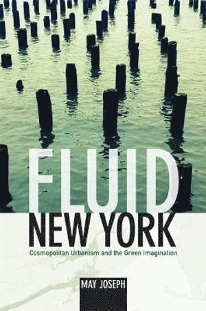 bokomslag Fluid New York