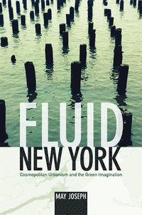 bokomslag Fluid New York