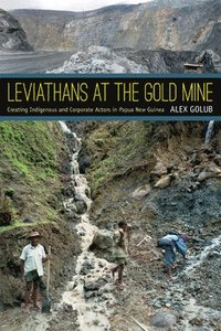 bokomslag Leviathans at the Gold Mine