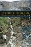 bokomslag Leviathans at the Gold Mine