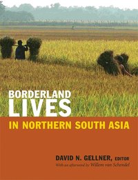 bokomslag Borderland Lives in Northern South Asia