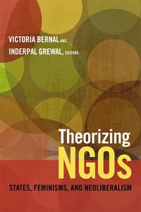 bokomslag Theorizing NGOs