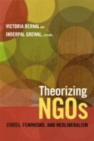 bokomslag Theorizing NGOs