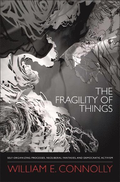 bokomslag Fragility of Things