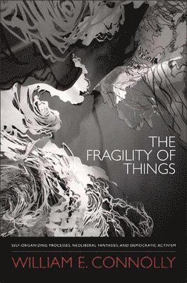The Fragility of Things 1