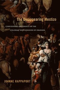 bokomslag The Disappearing Mestizo
