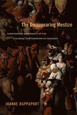 bokomslag The Disappearing Mestizo