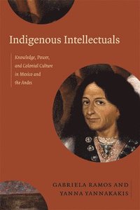 bokomslag Indigenous Intellectuals
