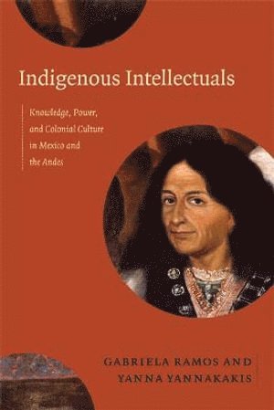 bokomslag Indigenous Intellectuals