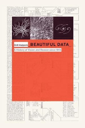 bokomslag Beautiful Data