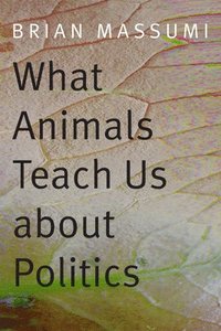 bokomslag What Animals Teach Us about Politics