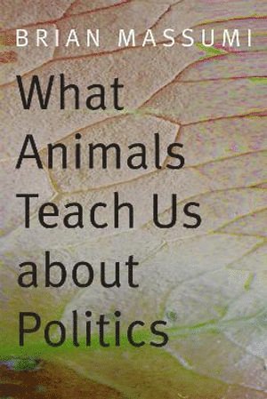 bokomslag What Animals Teach Us About Politics