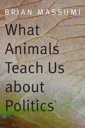 bokomslag What Animals Teach Us about Politics