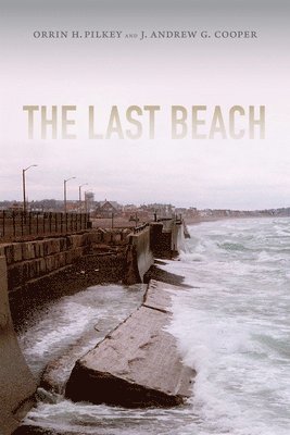 bokomslag The Last Beach